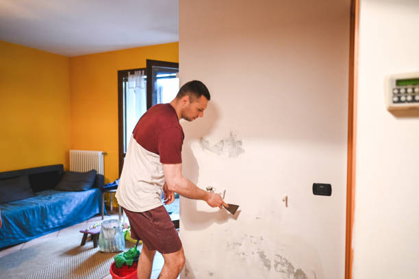 Best Mold Cleaning Services  in Holly Hill, SC